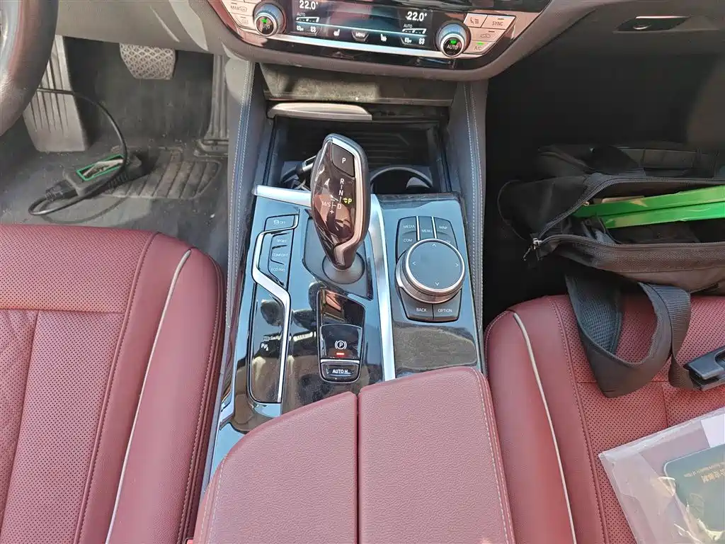 BMW 5 Series 2021 Facelift 530Li Leading Luxury Package фото 6