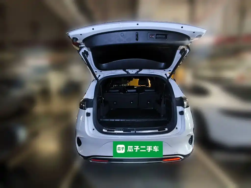 Denza X 2020 2020 Model PHEV Flagship Edition