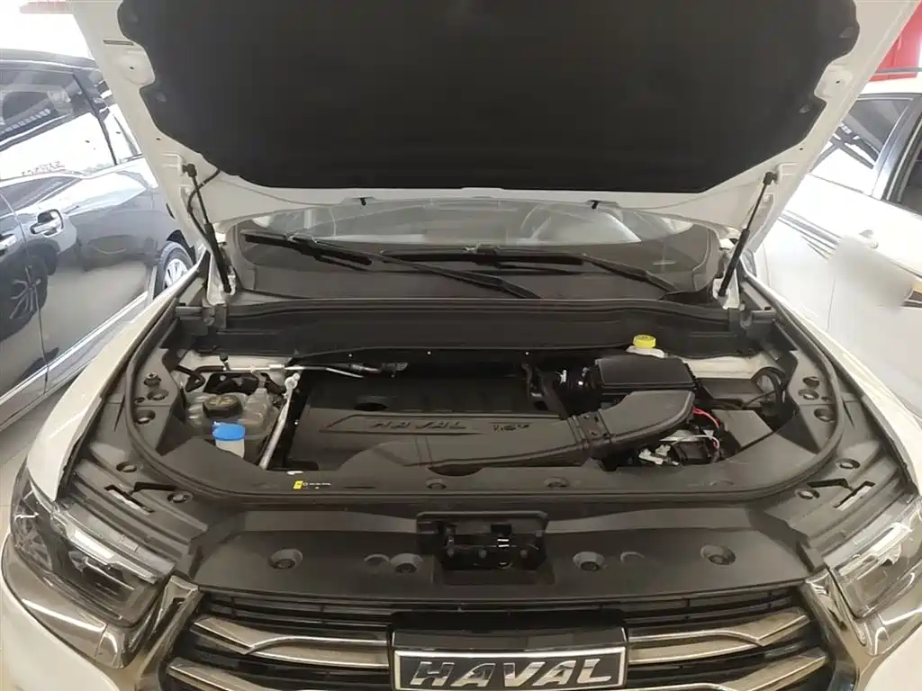 Haval H6 2021 National Trend Edition 1.5T Automatic Urban Edition фото 20