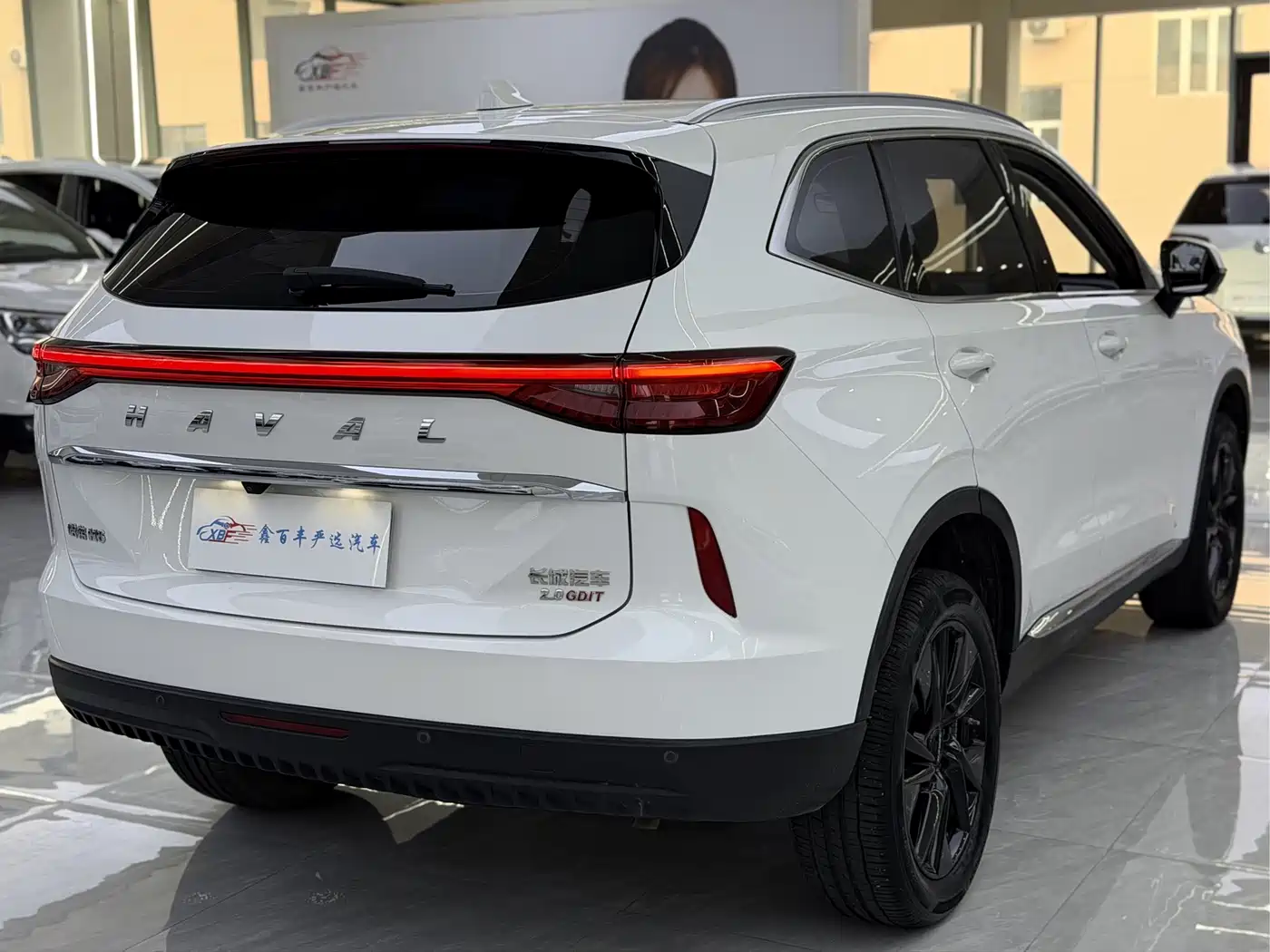 HAVAL H6