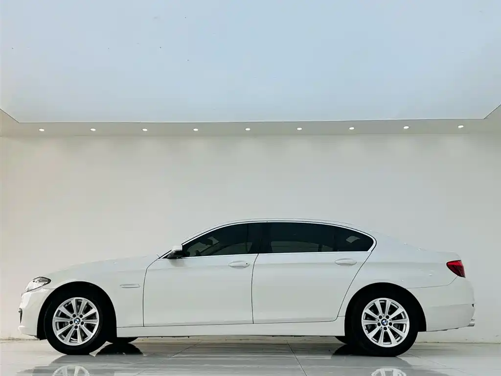 BMW 5 Series 2014 520Li Elegance фото 4