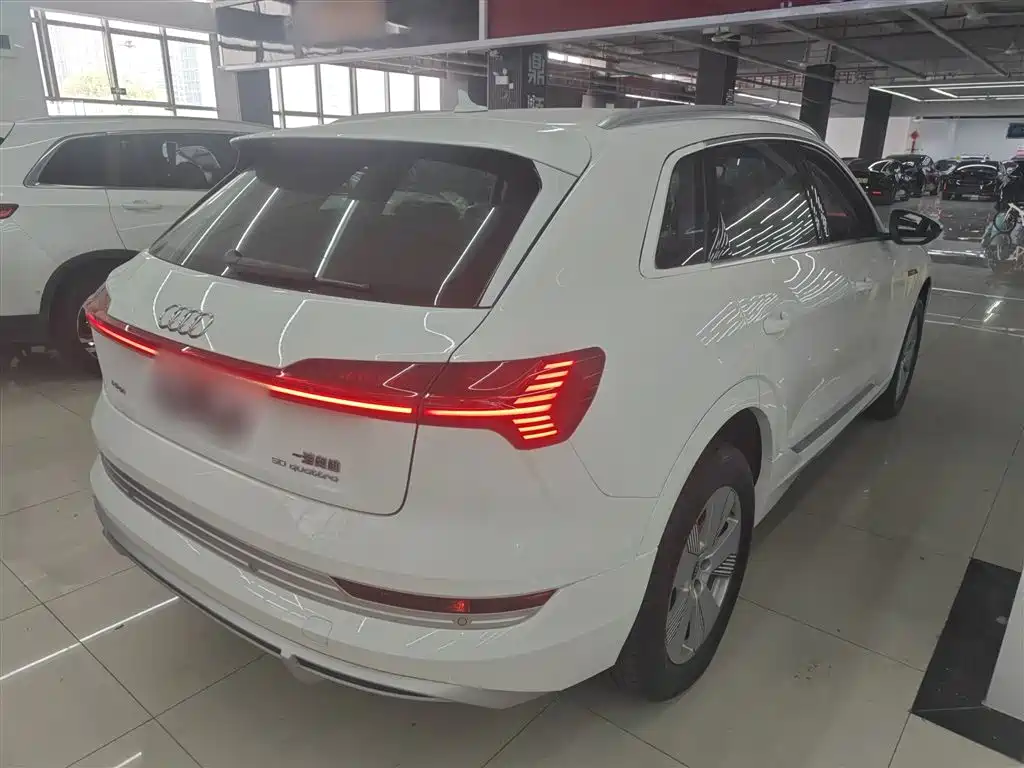 Audi e-tron 2021 50 quattro Luxury фото 7