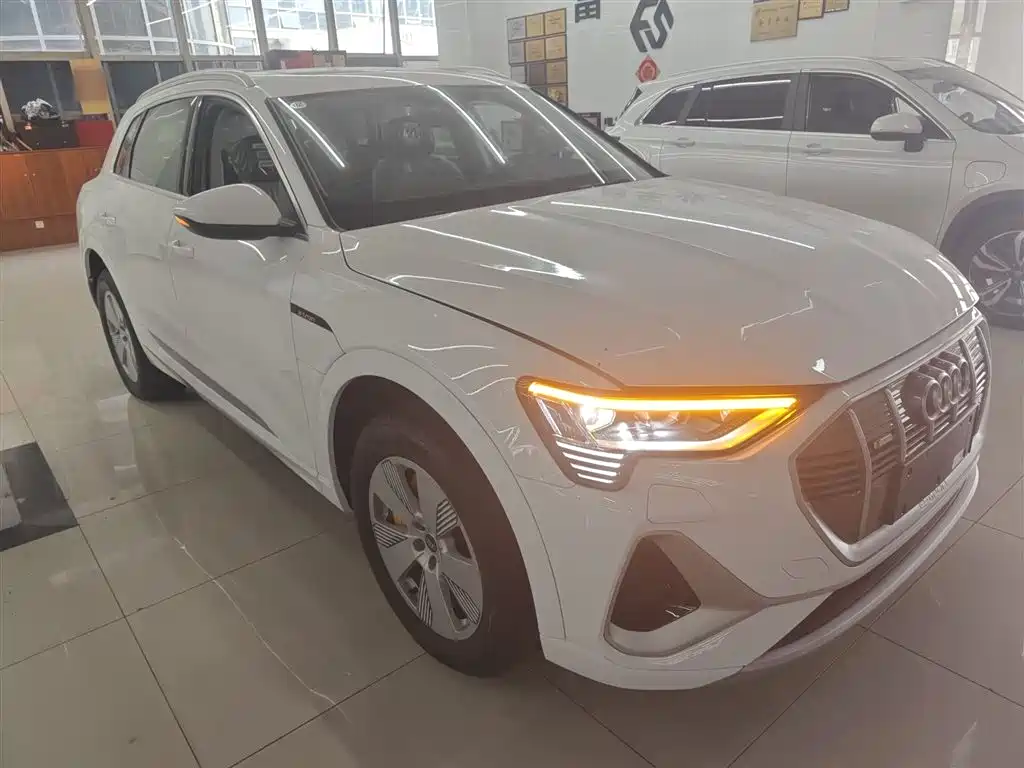Audi e-tron 2021 50 quattro Luxury фото 4