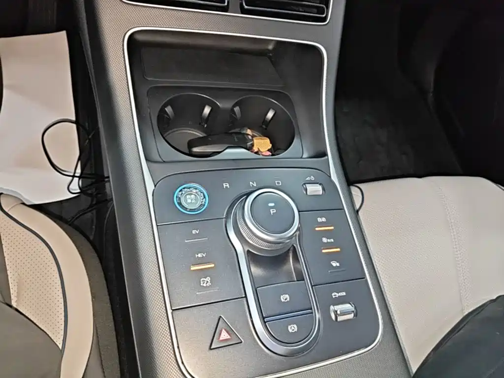 BYD Destroyer 05 2024 2024 Glory Edition DM-i 55KM Luxury