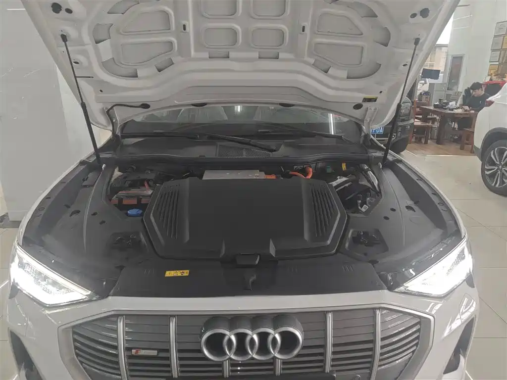 Audi e-tron 2021 50 quattro Luxury фото 20