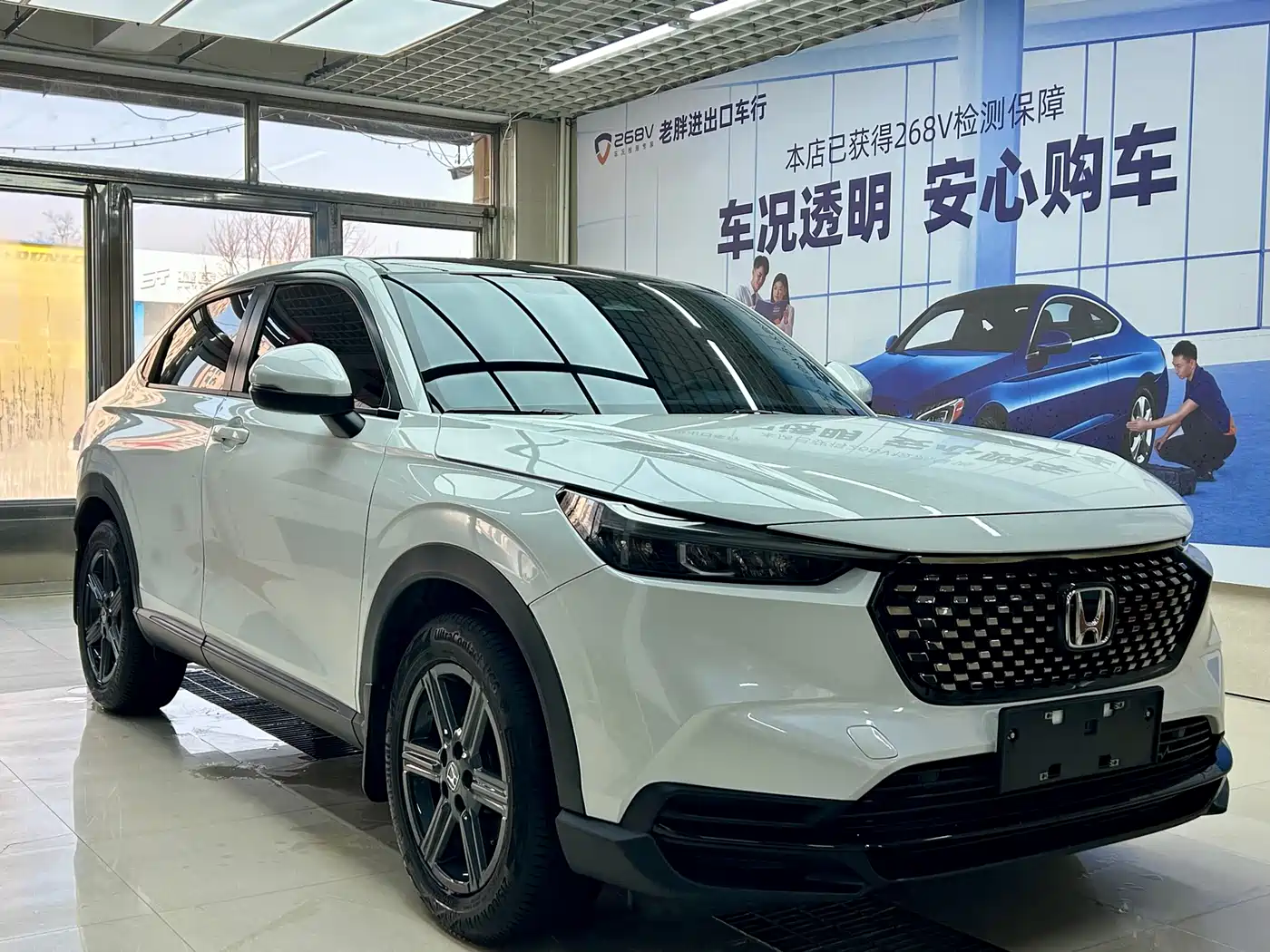  XR-V