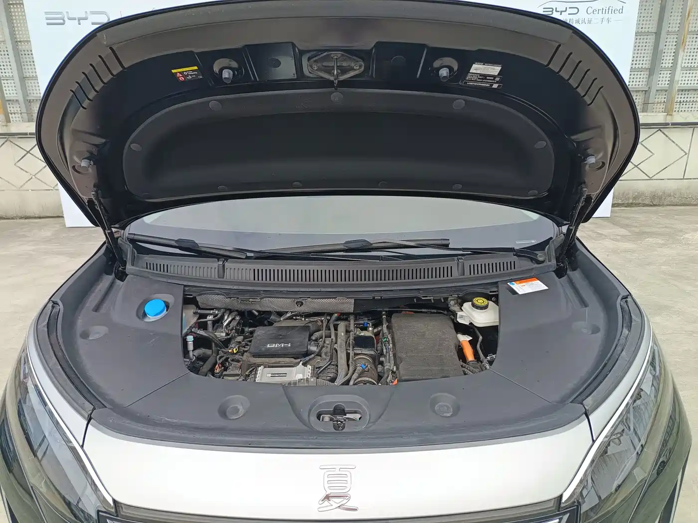 BYD Xia 2025 2025 DM-i 1.5T 180km Surpass Edition