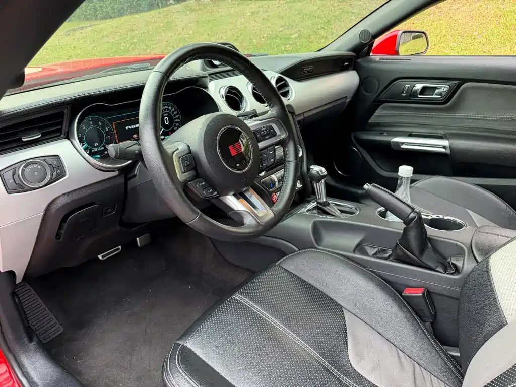 Фото 7 - Saleen Mustang
