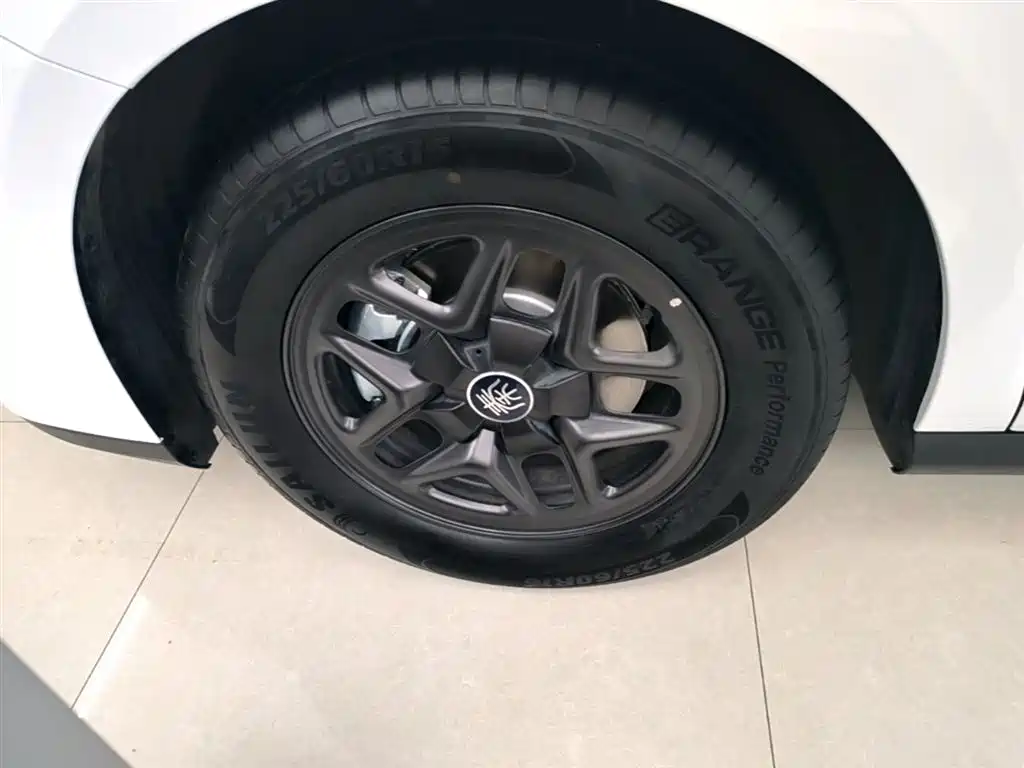 BYD Qin PLUS 2025 DM-i Smart Drive 55KM Leader фото 23