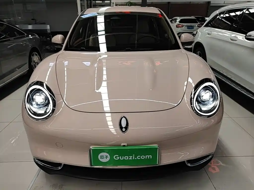 Ora Good Cat 2025 2024 401km Luxury