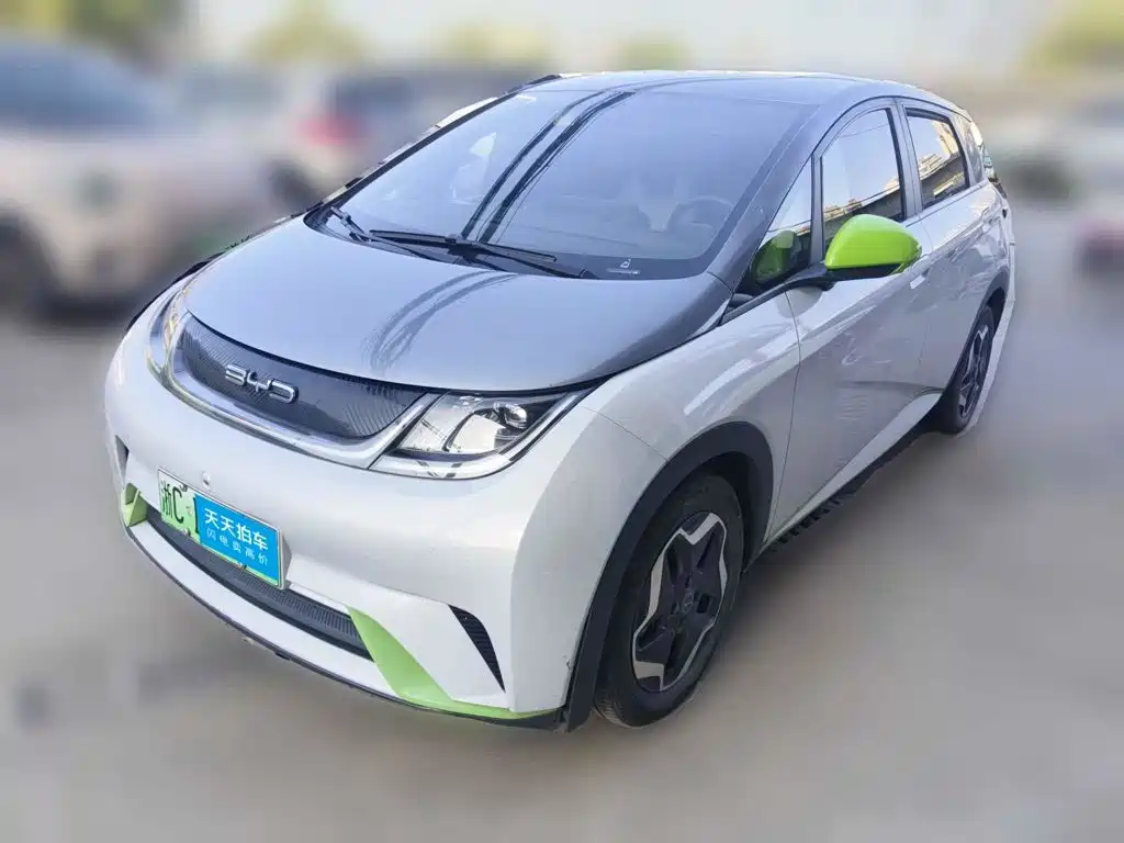 BYD Dolphin 2021 2021 405km Freedom Edition