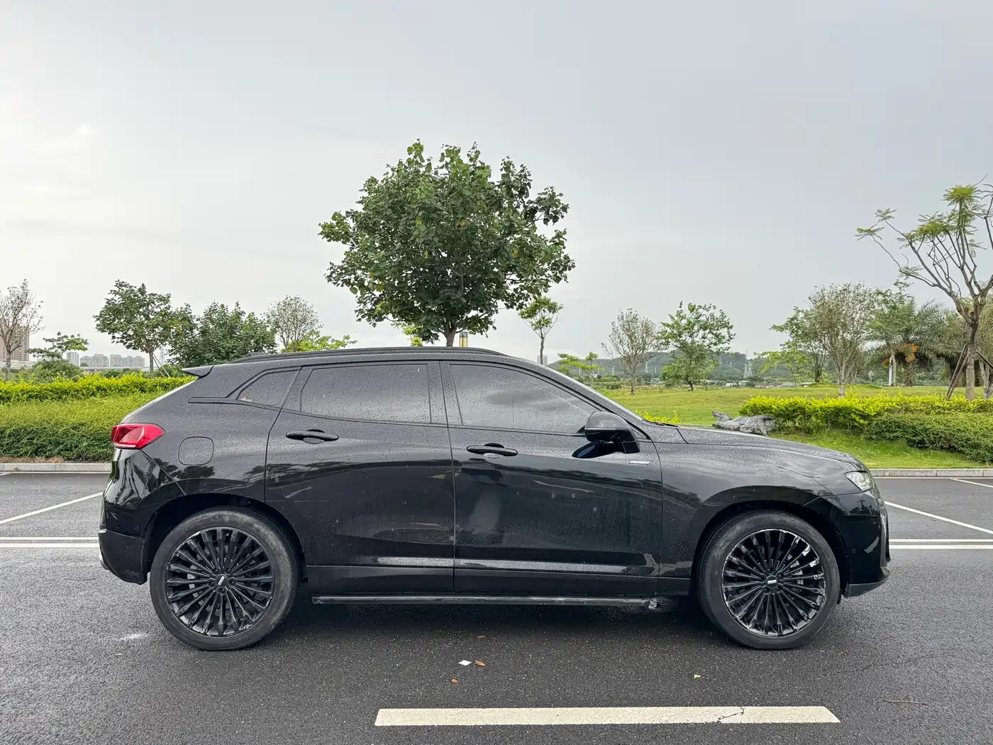 WEY P8 2018 2018 2.0T Flagship Model