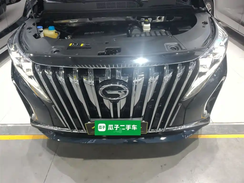 GAC Trumpchi Trumpchi M8 2021 Leading Show Series 390T Prestige Edition фото 16