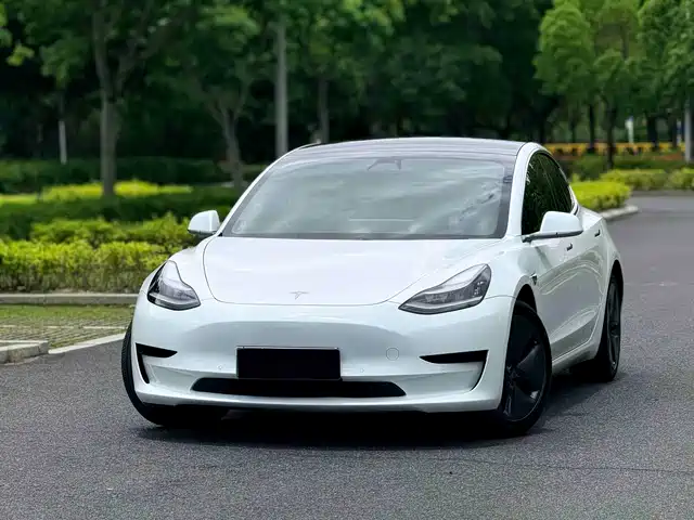 Tesla Model 3 2020