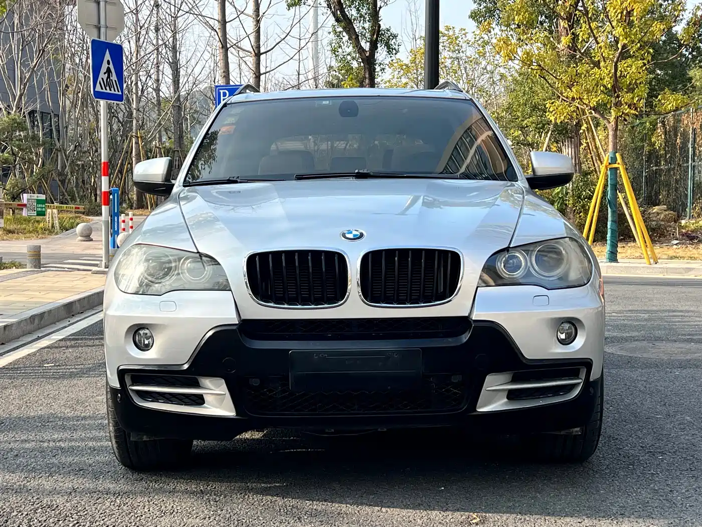 BMW X5 (Import) 2009 xDrive30i Luxury фото 2