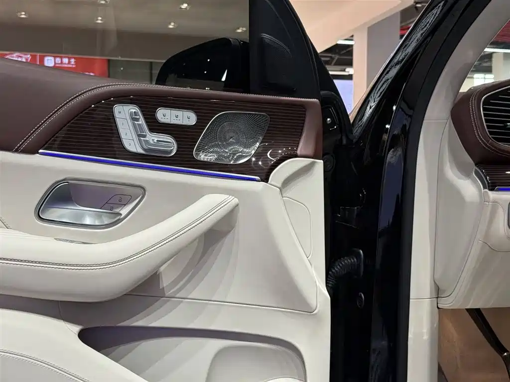 Mercedes-Benz Maybach GLS 2021 GLS 480 4MATIC фото 8