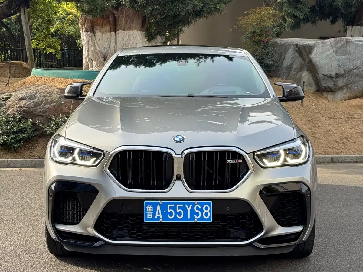 BMW X6 M