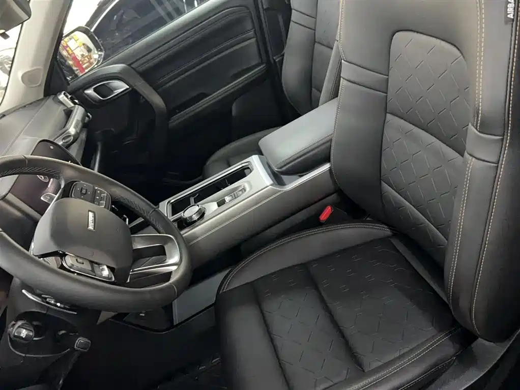 Haval Big Dog 2024 1.5T DCT Border Collie Edition фото 12