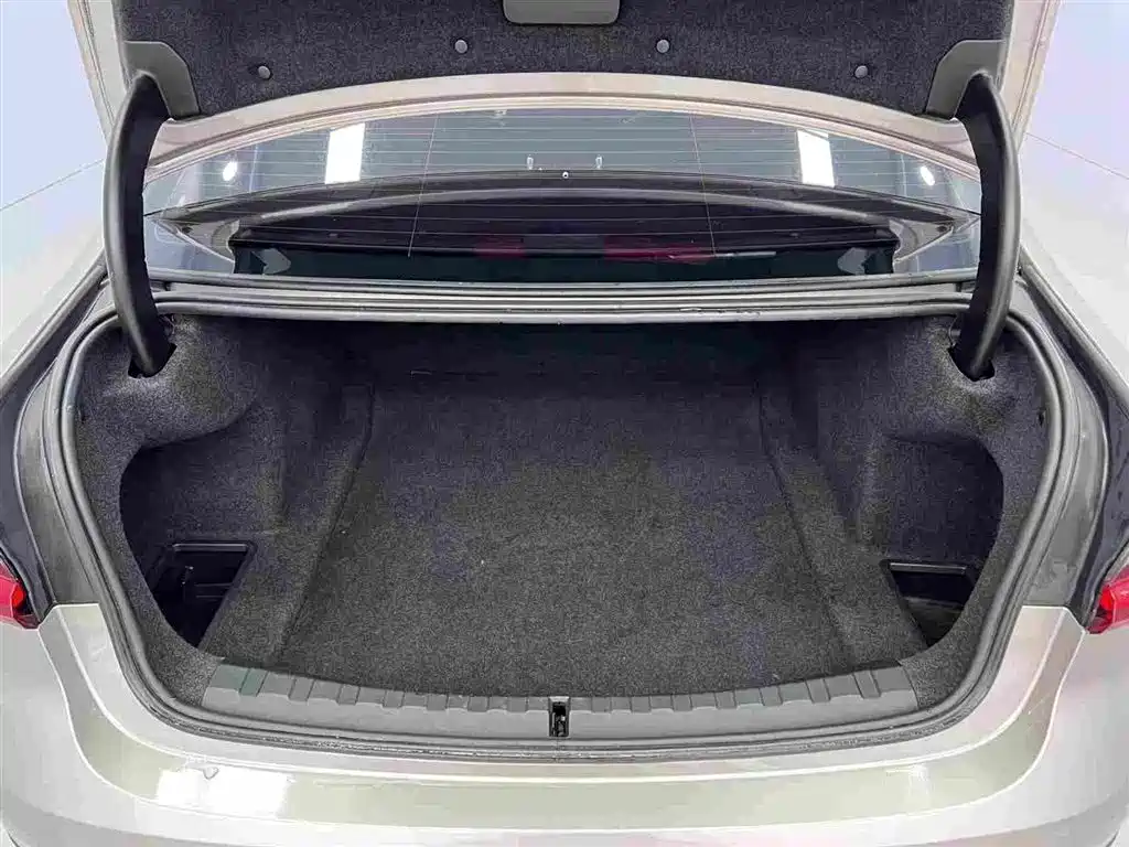 BMW 3 Series 2020 325Li Launch Edition фото 15