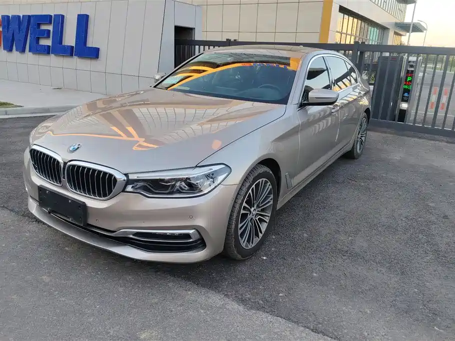 BMW 5 Series 2019 530Li Premium Luxury Package