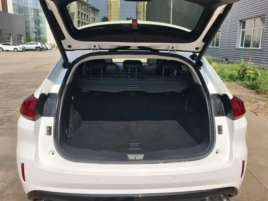 WEY VV5 2018 2017 2.0T Super Luxury Model