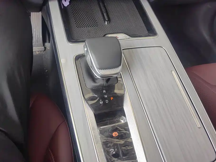 Hongqi HS5 2025 2025 2.0T 2WD Qixiang Pro