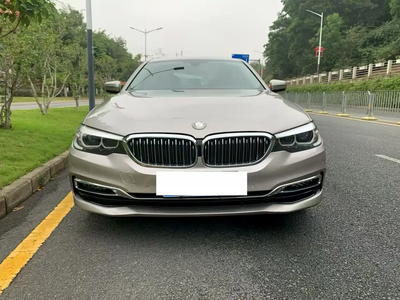 BMW 5 Series 2019 525Li Luxury Package фото 2