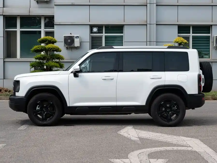 Haval Raptor 2024 2024 Hi4 145 Cross-country Edition