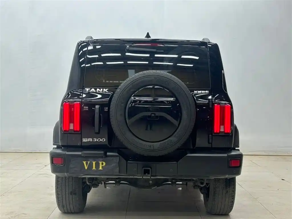 Tank 300 2023 Off-Road Edition 2.0T Conqueror фото 8