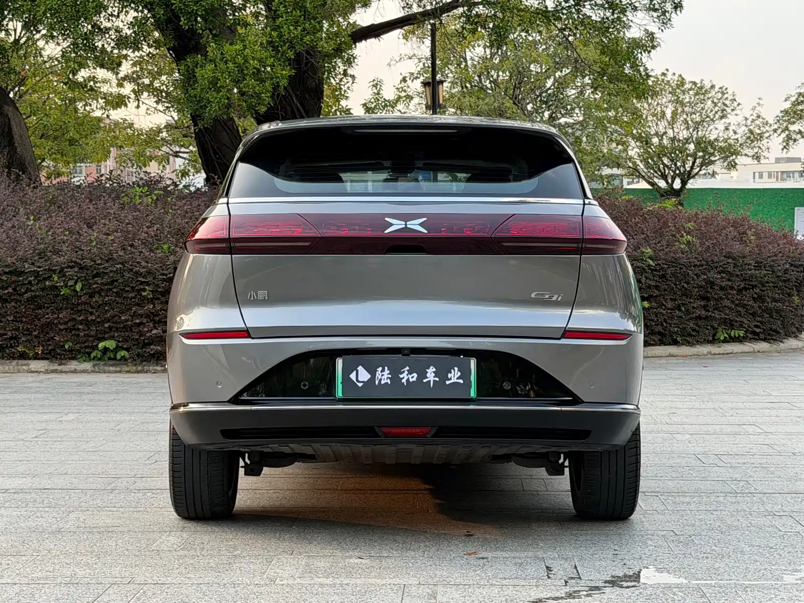 Фото 22 - XPeng G3