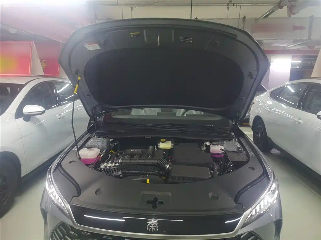 BYD Qin PLUS 2026 DM-i Smart Edition 128KM Progressive фото 20