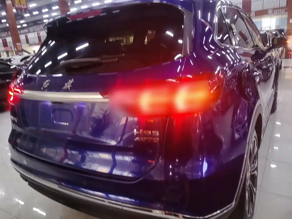 Hongqi HS5 2019 2.0T Smart Connect Enjoy 4WD Edition фото 6