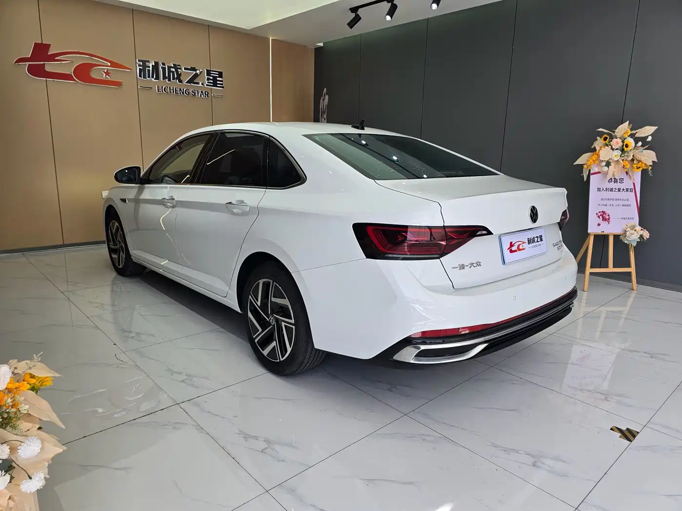 Volkswagen Sagitar, миниатюра 5