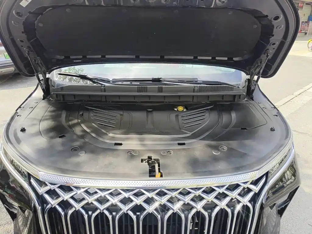 Dongfeng Fengxing Starlight V9 2024 2024 1.5TD 200km Chinese Knot Series Luxury