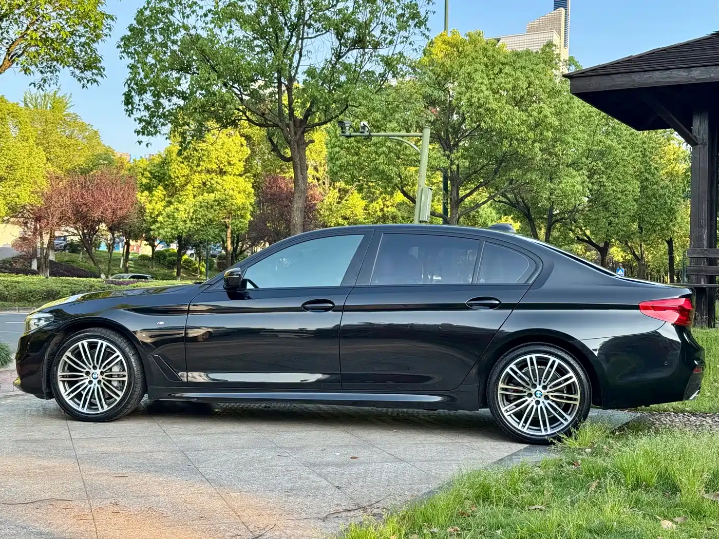 BMW 5 Series 2019 530Li Leading M Sport Package фото 6