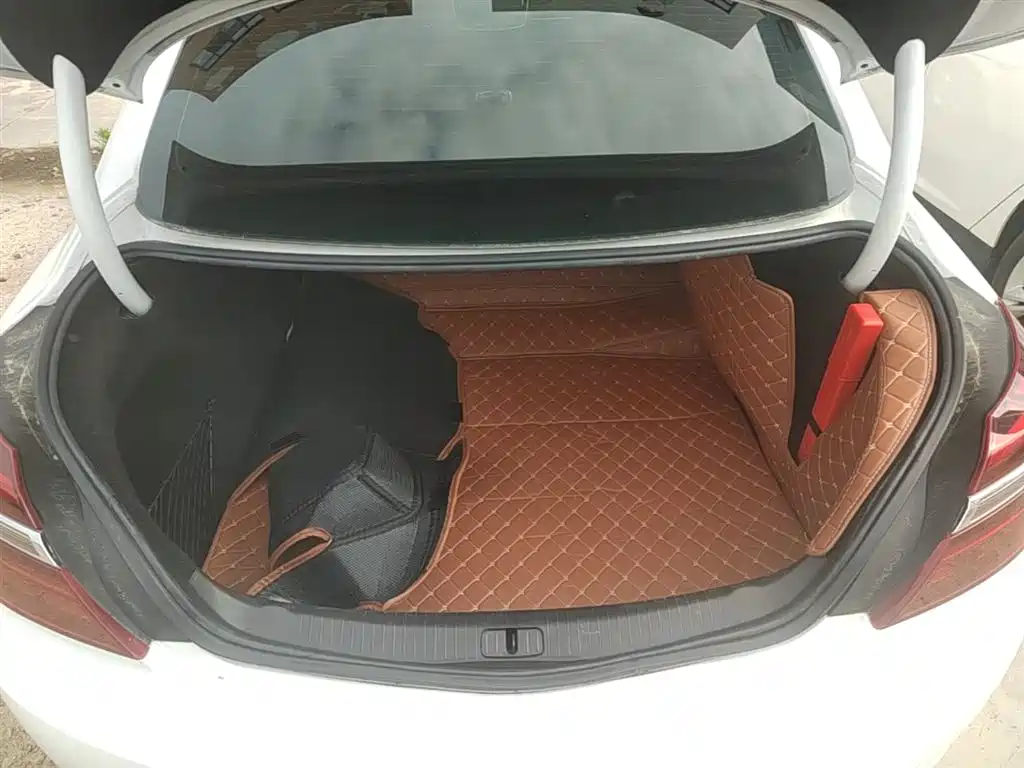 Buick Regal 2015 1.6T Elite Tech Edition фото 19