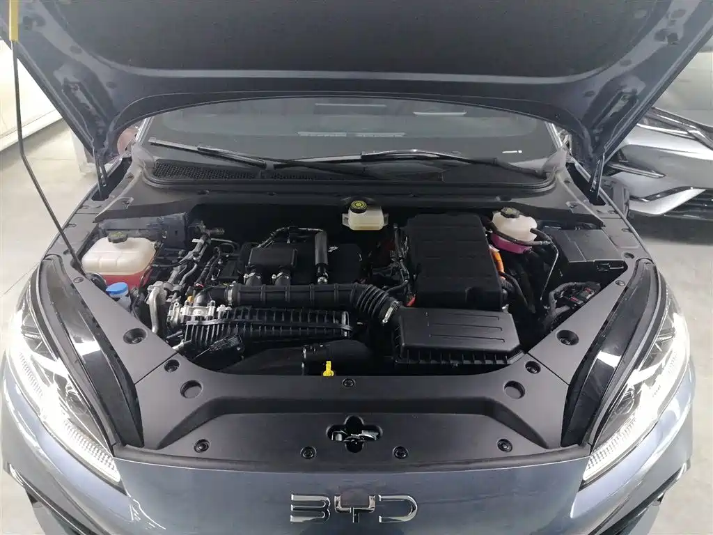 BYD Seal 06 New Energy 2024 DM-i 80KM Prestige фото 16