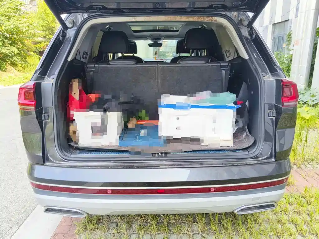 Фото 5 - Volkswagen Talagon