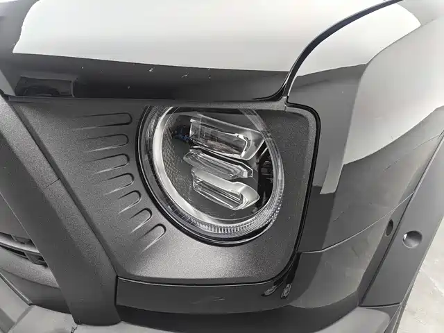 HAVAL BIG DOG
