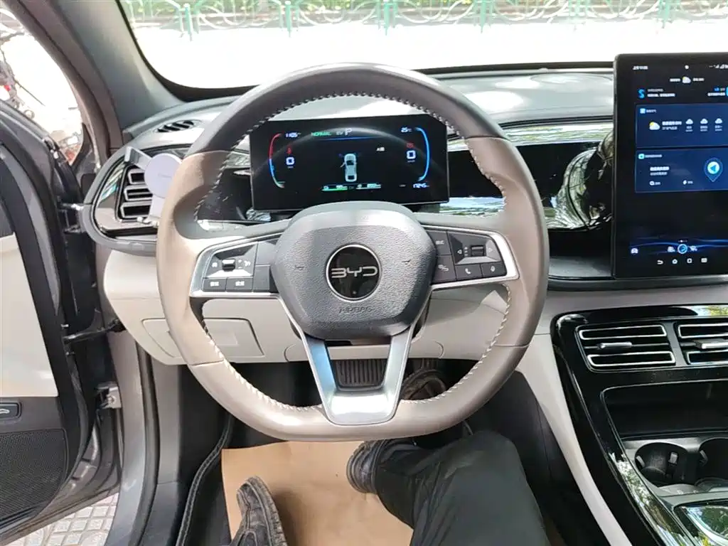 BYD Qin PLUS 2024 Glory Edition DM-i 55KM Leading фото 7