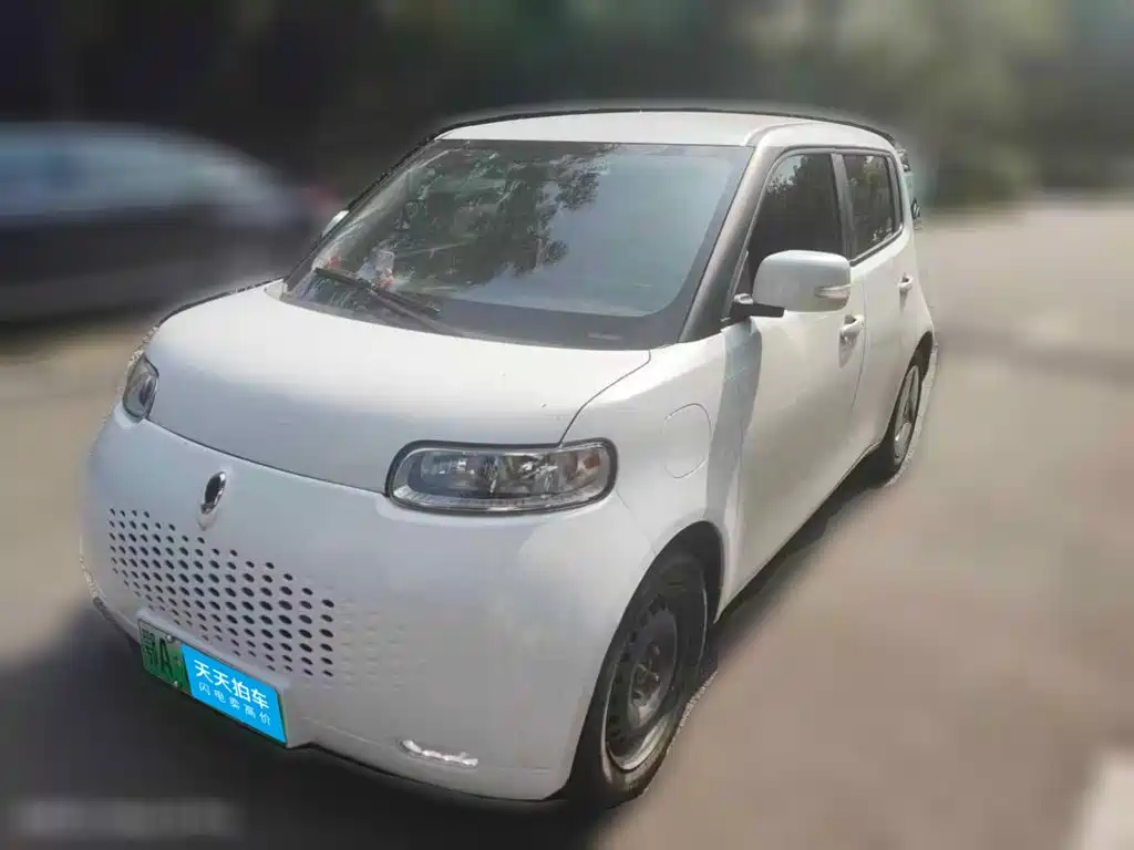 Ora White Cat 2020 2020 360km Luxury Model