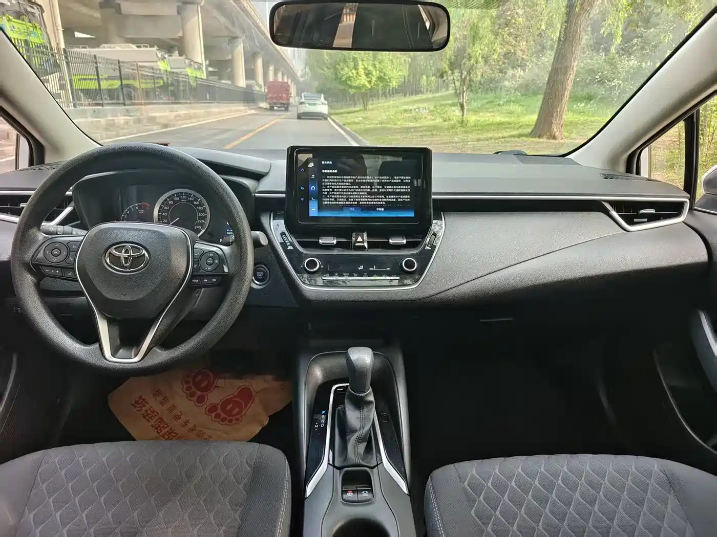 TOYOTA ASIAN LION