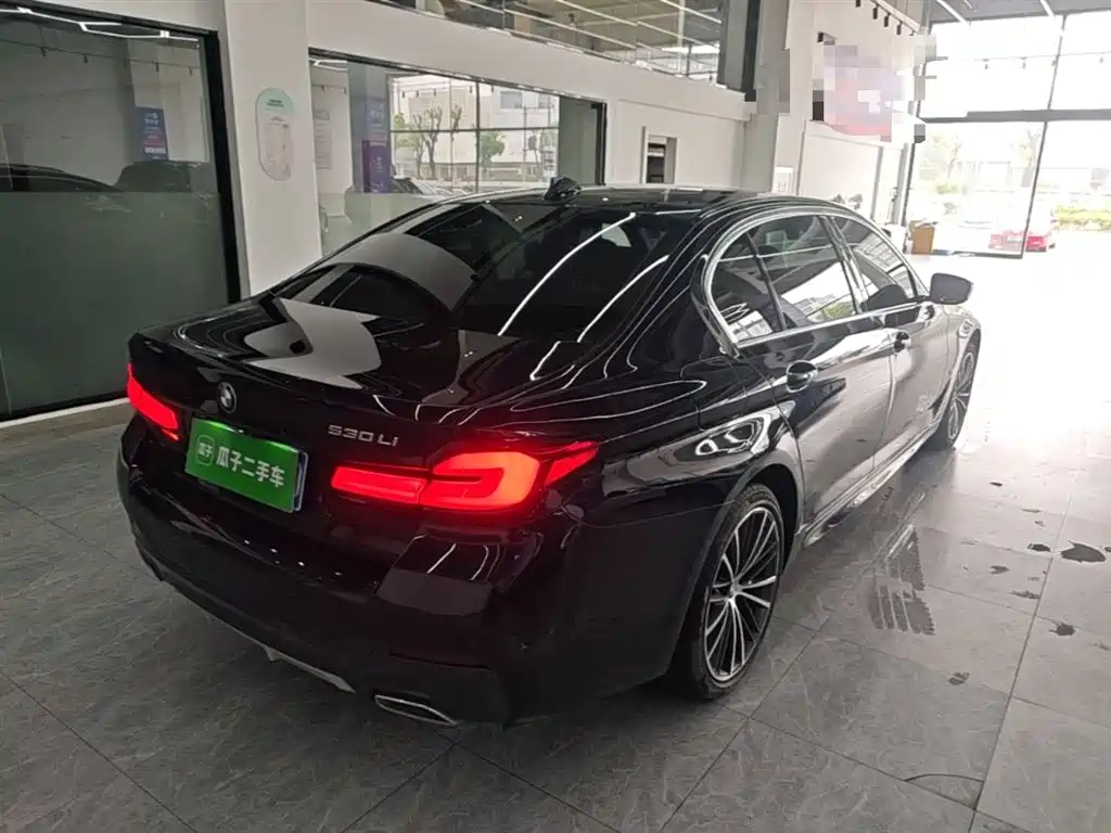 BMW 5 Series 2022 Model Second Facelift 530Li Leading M Sport Package фото 7