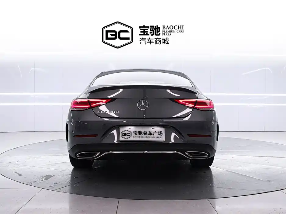 Mercedes-Benz CLS 2022 CLS 300 Luxury фото 4