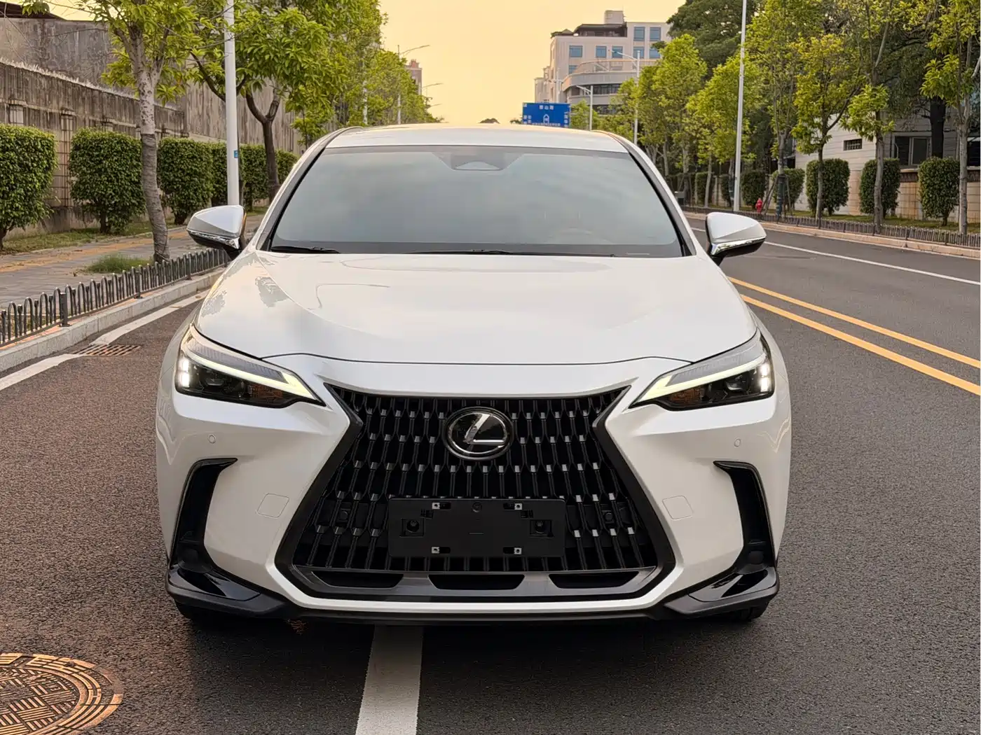 2024 Lexus NX