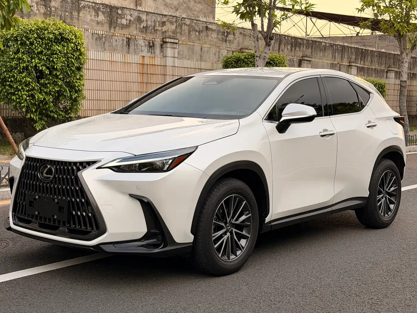2024 Lexus NX