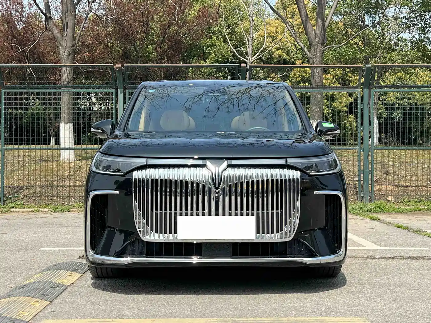 Voyah Auto Voyah Dreamer 2025 PHEV AWD Flagship Kunpeng Edition фото 2