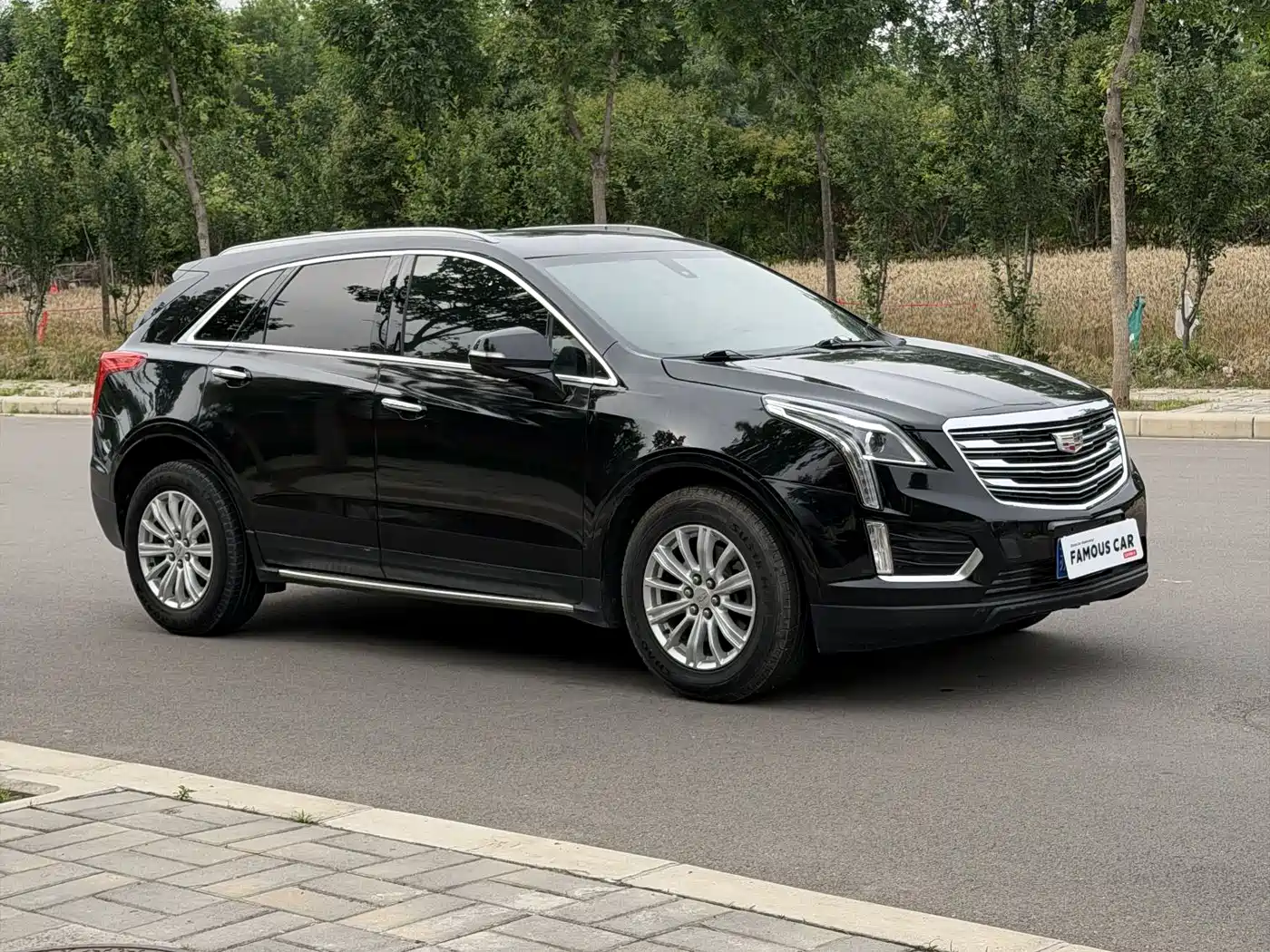 Cadillac XT5 2018 25T Technology фото 3
