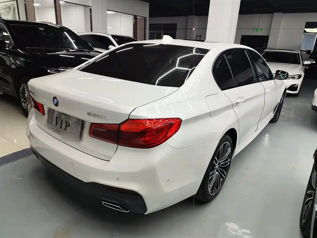 BMW 5 Series 2019 530Li Leading M Sport Package фото 7