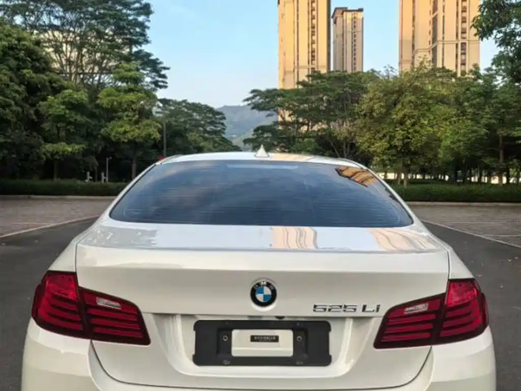 BMW 5 Series 2017 525Li Luxury Design Package фото 5